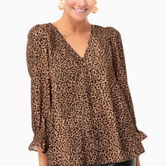 Tuckernuck Tops - Tuckernuck Cheetah Print Top Size XS Extra Small Leopard Blouse